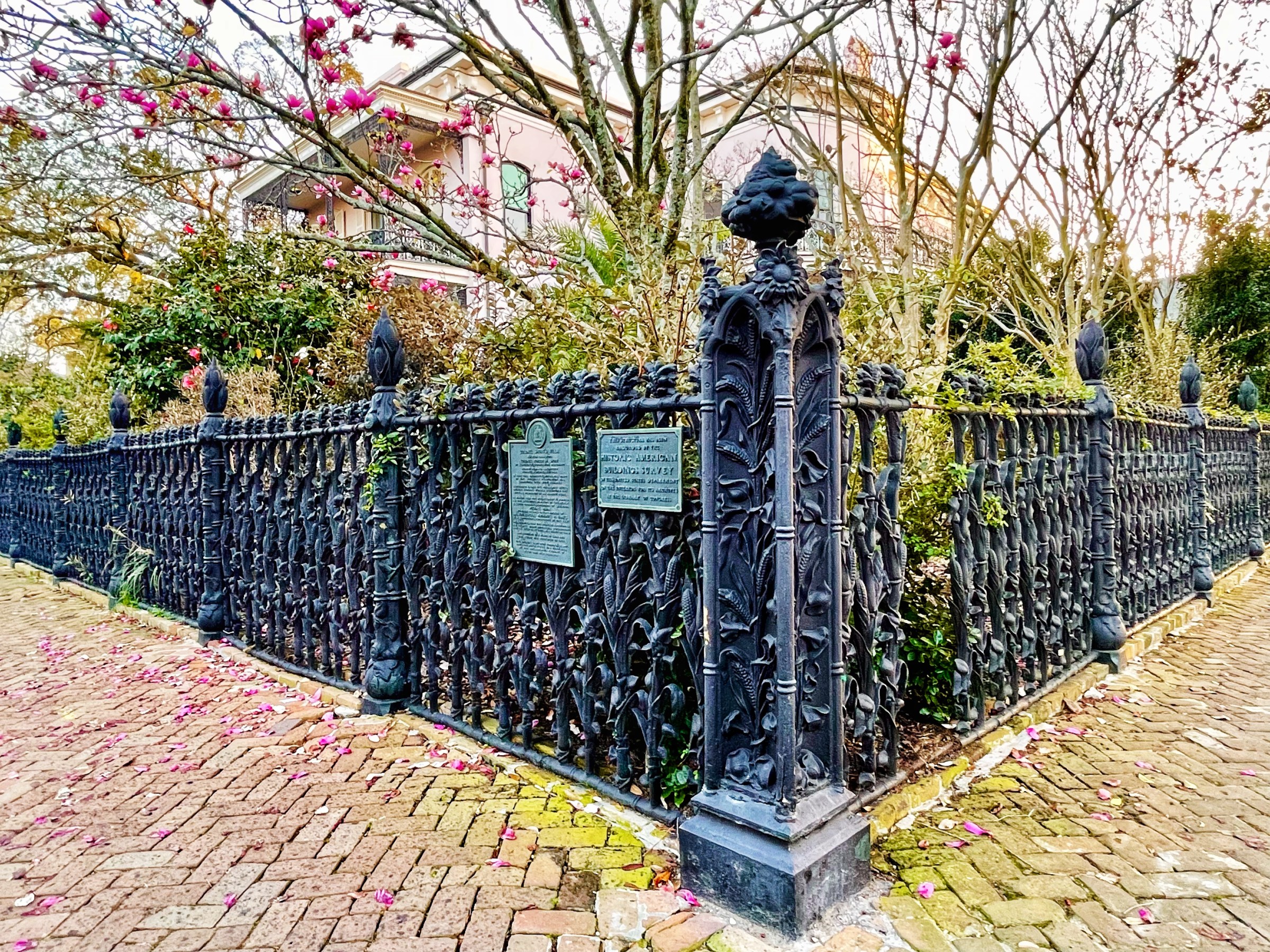Iron fence in the garden district