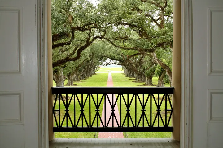 Balcony view of a tree-lined pathway through double doors.