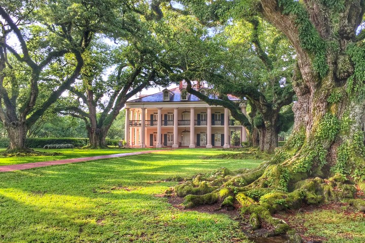 Historic mansion surrounded by large oak trees with sprawling branches and moss-covered roots on a sunny day.