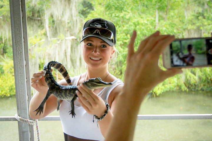 Person holding a small alligator while another takes a photo with a smartphone.