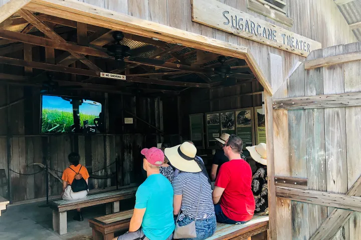 People sitting in a wooden theater watching a screen labeled 'Sugarcane Theater'.