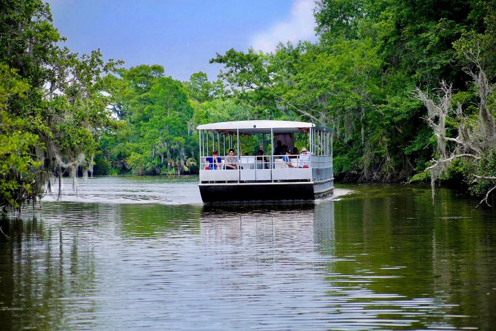 Riverboat with passengers cruises through lush, green swamp landscape.