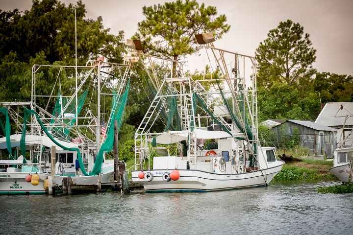 Fishing boats with nets docked by a river, trees and buildings in the background.