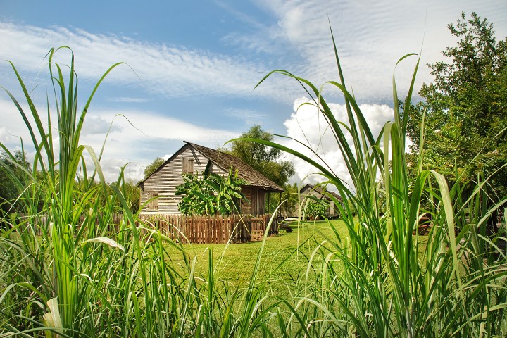 Wooden house with a picket fence, surrounded by lush green plants and a blue sky.