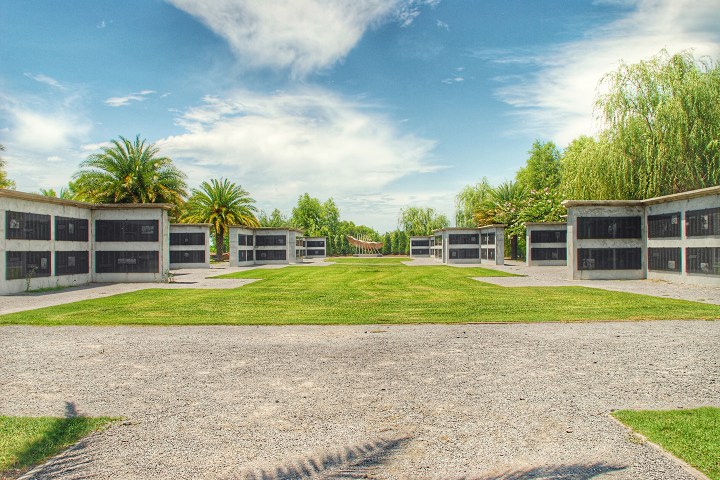 Empty outdoor pigeon lofts with grass and palm trees under a cloudy sky.