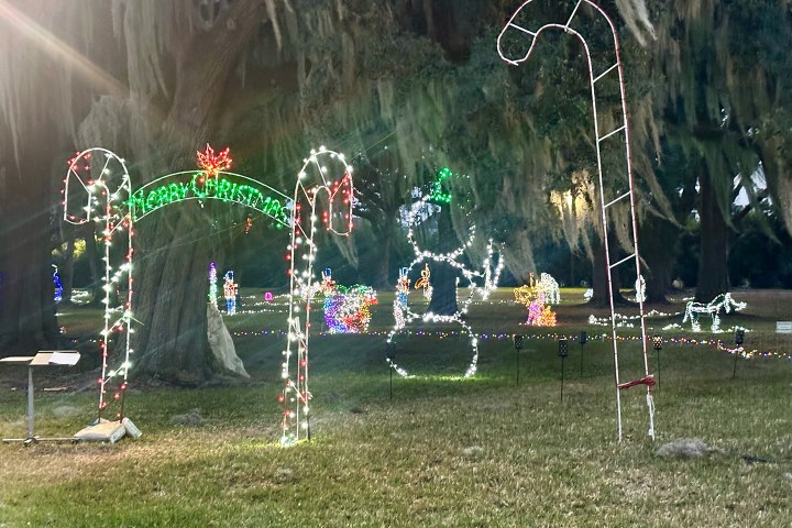 Christmas lights display with a 'Merry Christmas' arch and candy cane lights in a park.