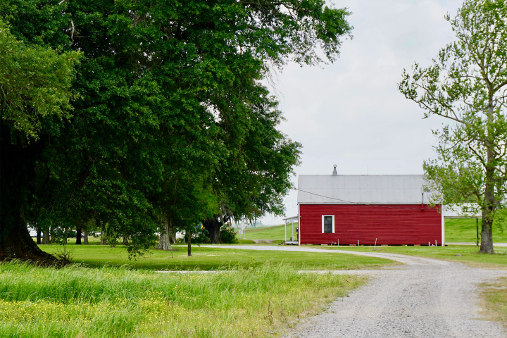 Red barn with white roof by gravel path, surrounded by trees and grass.