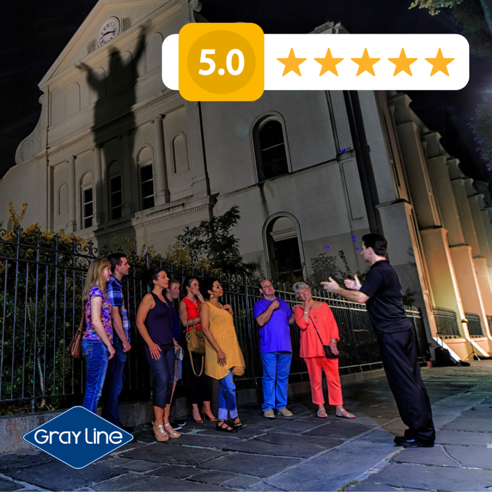 a close up of a reptile